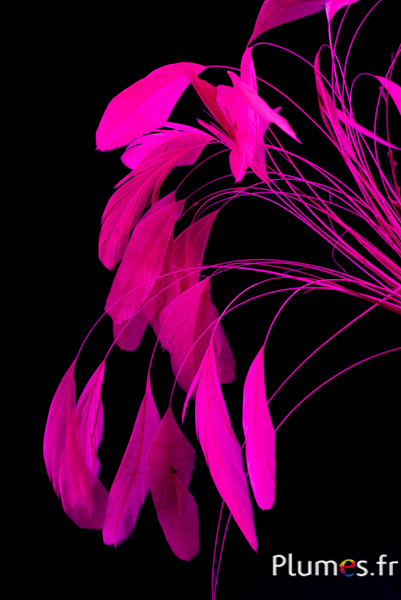 Coquetips - 13-18 cm - fuchsia